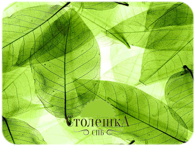 №85-0010 Листья-зеленые